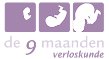 De 9 Maanden Logo