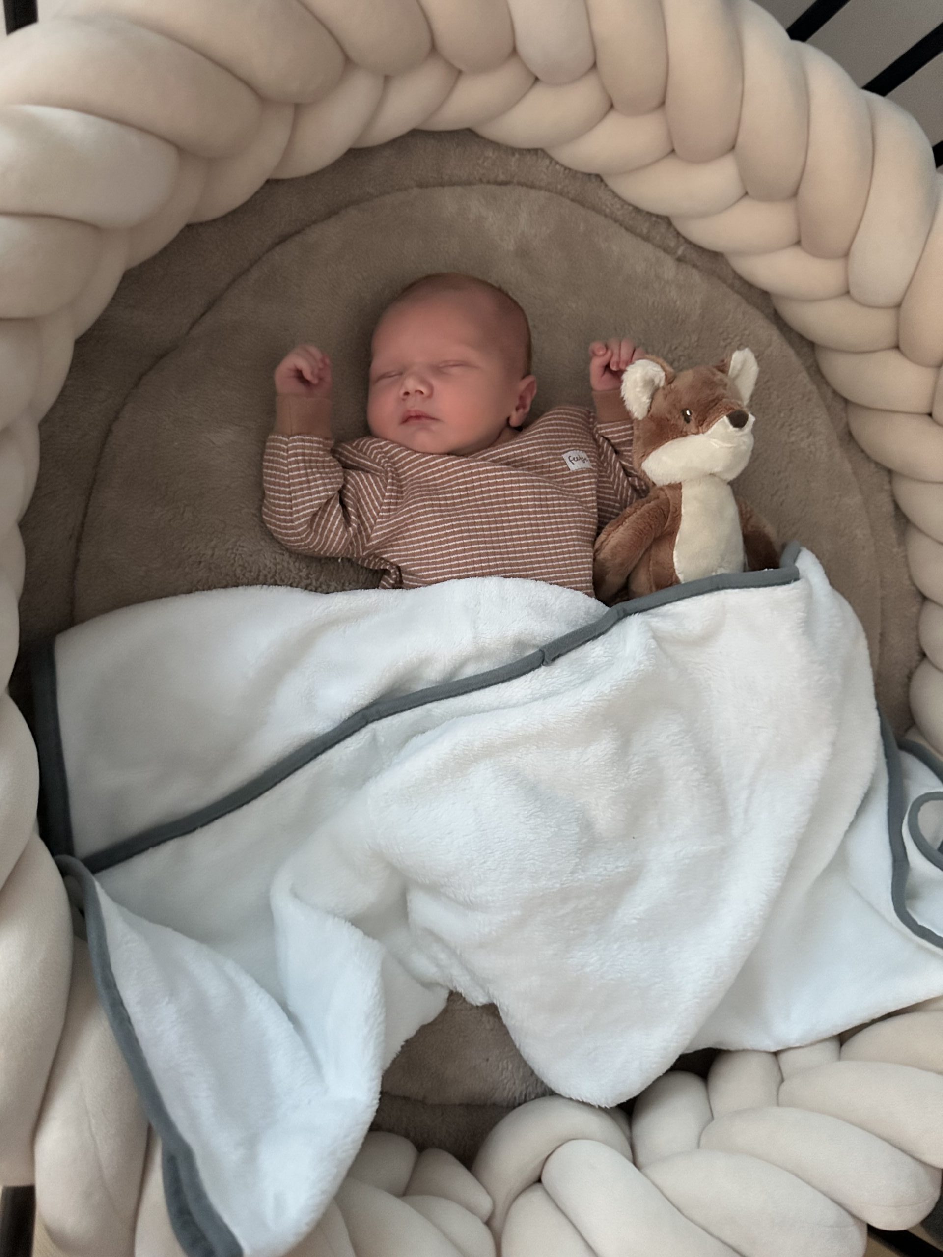 Riley 22-08-2025