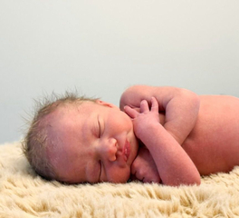 Lewis 02-01-2026