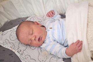 Nolyn 29-03-2026