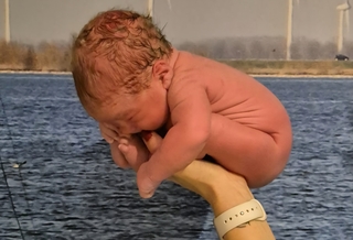 Owen 29-12-2025